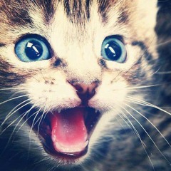 Everbedlam - Fiyah! (Trap VIP)