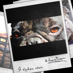 АлоэВера - Георгины (umnikus Bonus)