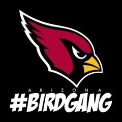 BIRD GANG