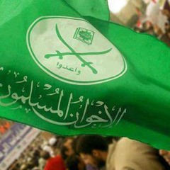 عمرو (جديد)