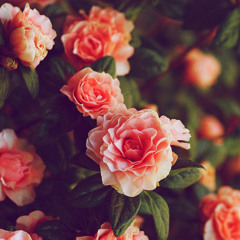 Little Love Affairs Mix