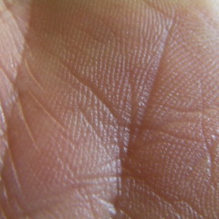 Happy Birthday Beautiful