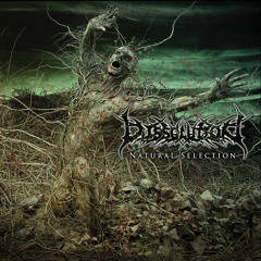 Dissolution - Years Of Redemption