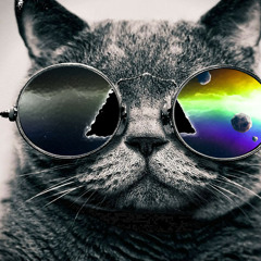 © Cat Cool by Chris Jamison