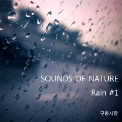 Sounds of Nature Rain#1