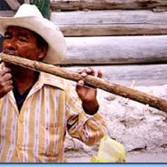 Smooth Noise (or "Python": you drive me crazy)_Survey of Music Technology_Coursera