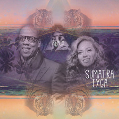 JAY - Z & BEYONCE PART II (ON THE RUN) SUMATRA TYGA REMIX