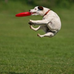 FRISBEE FT. BEWARE (FREE DOWNLOAD RAP FT. BEWARE)