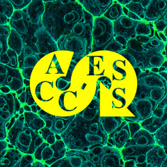 Acc-Ess Mixes