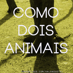 Como Dois Animais (Alceu Valença Cover)