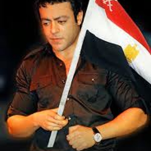 تامر عاشور _سألوا الشهيد