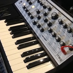 Moog Sub Phatty at Switched On