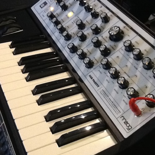 Moog Sub Phatty at Switched On