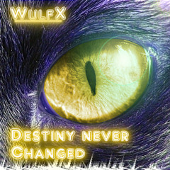 Destiny never Changed - WulfX