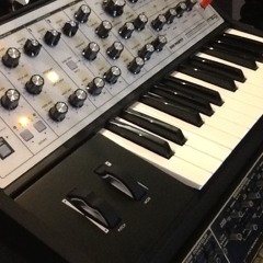 Moog Sub Phatty Technodome at Switched On
