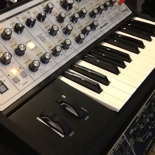 Moog Sub Phatty Technodome at Switched On