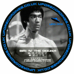 Ufo 002 AA-''Fist of the dragon''  preview