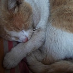 Todos Tenemos Dias Malos