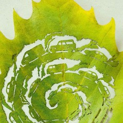 Plato_Organic