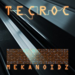 MEKANOIDZ