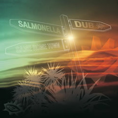Salmonella Dub - Shaping Ground