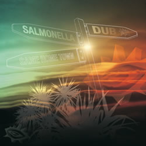 Salmonella Dub - Shaping Ground