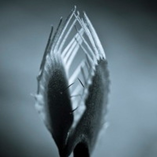 Collaborations/Remixes (Via Sound Cloud)