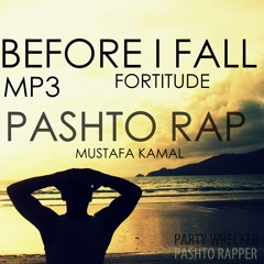 Before I Fall - Fortitude ft. Bali Shah (Webster beats)