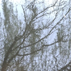 Fairy Pond in Winter