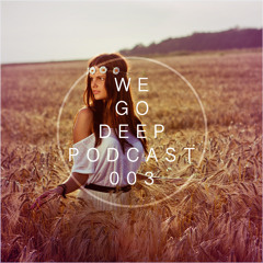 We Go Deep #003 podcast mixed by Dry & Bolinger