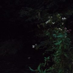 Thekla - Eine Geisterstimme