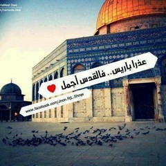 فلسطين الجارحه تنادي  at حائل
