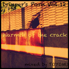Dripper's Porn vol.12 -warmth of the crack- mixed by TOYOMU