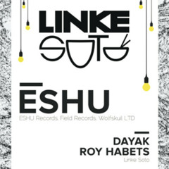 Dayak &  Roy Habets at Linke Soto w/ ESHU [28-09-2013]
