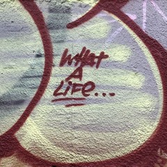 Steppa Style & Anancy - What A Life