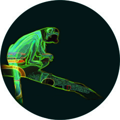 Mindtours 15 Clips -Tom Ellis/ Leif/ Steevio 'Ten Years After ep'