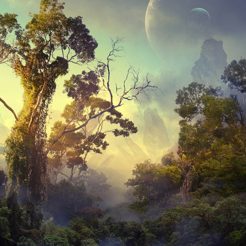 Martin Mittone - New Earth
