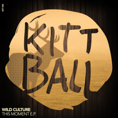 Wild Culture - This Moment (Original Mix) [KITT054]