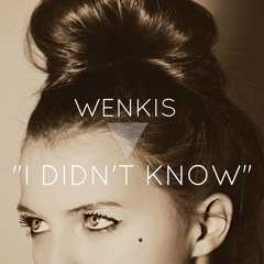 Stream Wenkis music | Listen to songs, albums, playlists for free ...