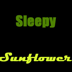 Sleepy Sunflower