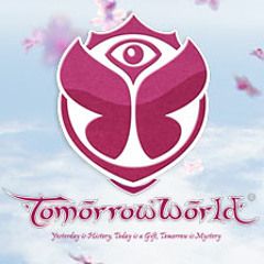 Carnage TomorrowWorld 2013