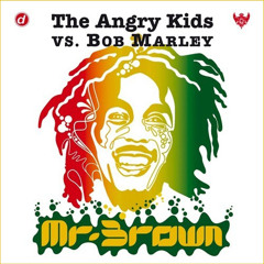 THE ANGRY KIDS - Mr Brown (Holly & Mappa DJ Rmx)