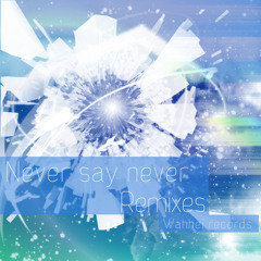 Never say never Remixes DEMO XFD