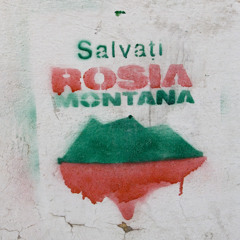 SALVATI-ROSIA-MONTANA-MIX