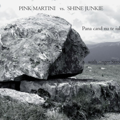 Pink Martini vs. Shine Junkie - Pana cand nu te iubeam (with singer Storm Large)