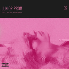 Junior Prom - Sheila Put The Knife Down