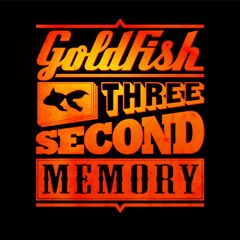 Goldfish - Three second memory