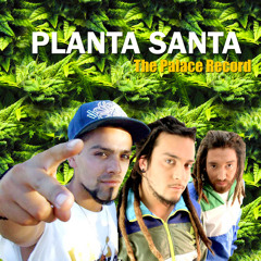 Planta Santa - The Palace Record