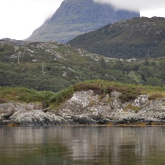 SUILVEN by Fiona Driver