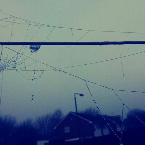As Her Memory Fades